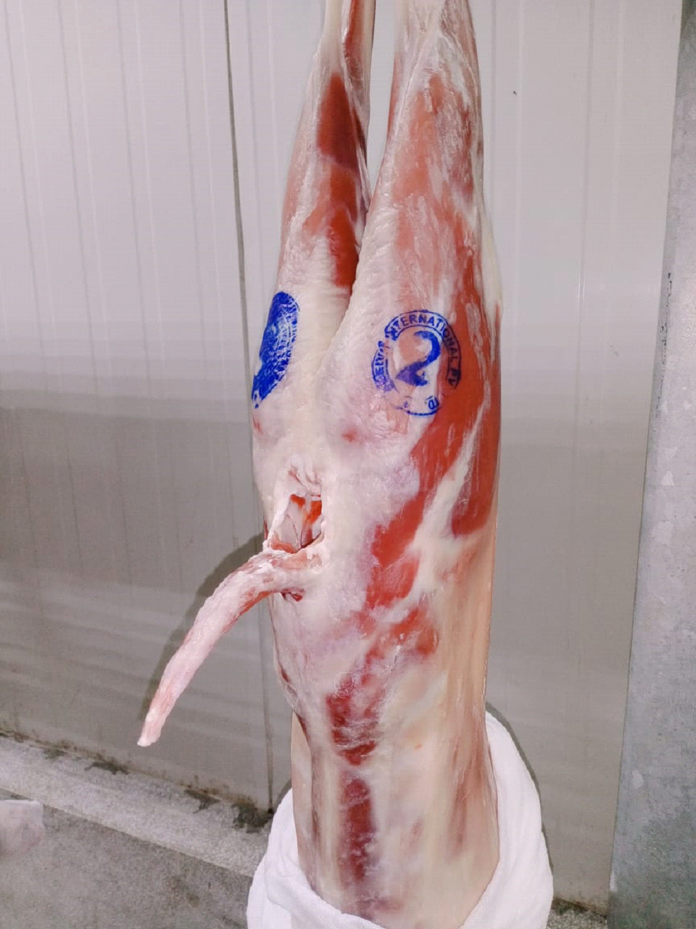 meat2